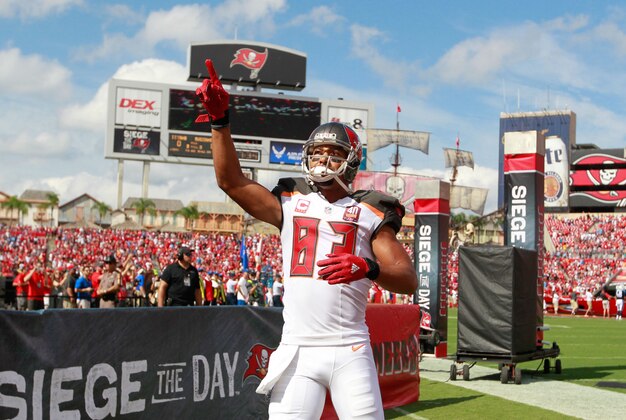 Sep 13, 2015; Tampa, FL, USA; Tampa Bay Buccaneers wide receiver Vincent Jackson (83) is introduced as he runs out of the tunnel before the game against the Tennessee Titans at Raymond James Stadium. Mandatory Credit: Kim Klement-USA TODAY Sports