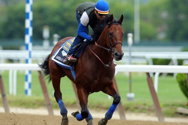 Jun 5, 2015; Elmont, NY, USA; American Pharoah trains the day before the 2015 Belmont Stakes at Belmont Park. Mandatory Credit: Brad Penner-USA TODAY Sports
