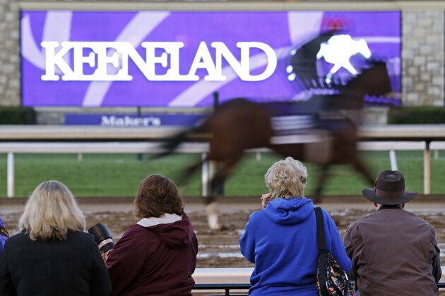 Race fans watch horses workout for the Breeders' Cup horse races at Keeneland race track Thursday, Oct. 29, 2015, in Lexington, Ky. (AP Photo/Mark Humphrey)