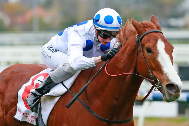 MELBOURNE, AUSTRALIA - JULY 04: Katelyn Mallyon riding Charmed Harmony wins race 6 the Wilson Medic One Handicap during TAB National Jockeys' Trust Race Day at Caulfield Racecourse on July 4, 2015 in Melbourne, Australia. (Photo by Scott Barbour/Getty Images) MELBOURNE, AUSTRALIA - JULY 04: Katelyn Mallyon riding Charmed Harmony wins race 6 the Wilson Medic One Handicap during TAB National Jockeys' Trust Race Day at Caulfield Racecourse on July 4, 2015 in Melbourne, Australia. (Photo by Scott Barbour/Getty Images)