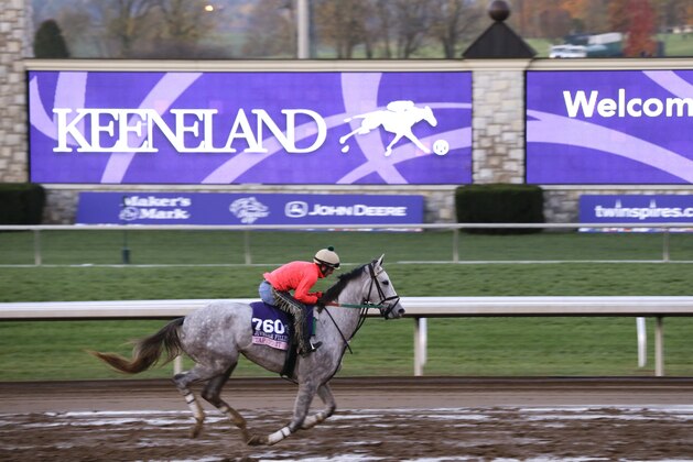Thrilled works out for the Juvenile Fillies race at the Breeders' Cup horse races at Keeneland race track Thursday, Oct. 29, 2015, in Lexington, Ky. (AP Photo/Mark Humphrey)