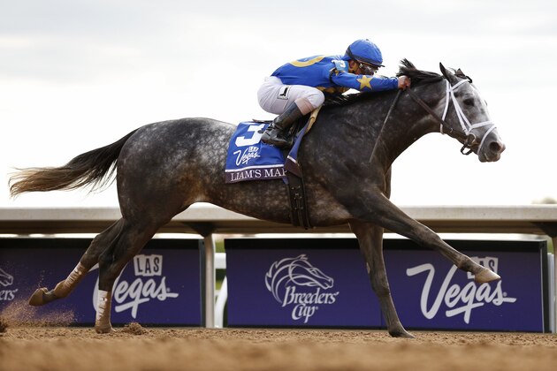 Liam's Map, with Javier Castellano up, wins the Breeders' Cup Dirt Mile horse race at Keeneland race track Friday, Oct. 30, 2015, in Lexington, Ky. (AP Photo/Brynn Anderson)