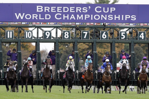 Horses leave the starting gate for the Breeders' Cup Juvenile Turf horse race at Keeneland race track Friday, Oct. 30, 2015, in Lexington, Ky. (AP Photo/Garry Jones)
