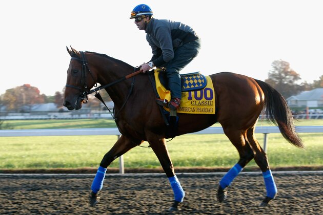 LEXINGTON, KY - OCTOBER 29:  Exercise rider Georgie Alvarez takes Triple Crown winner American Pharoah over the track in preparation for the Breeders' Cup Classic at Keeneland Racecourse on October 29, 2015 in Lexington, Kentucky.  (Photo by Michael Reaves/Getty Images)