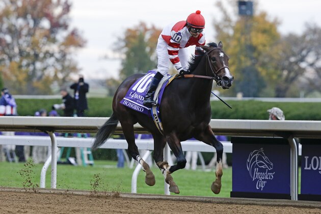 Songbird, with Mike Smith up, wins the Breeders' Cup Juvenile Fillies horse race at Keeneland race track Saturday, Oct. 31, 2015, in Lexington, Ky. (AP Photo/Garry Jones)