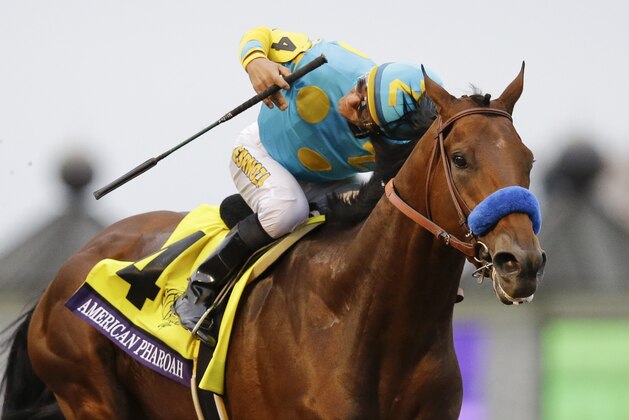 American Pharoah, with Victor Espinoza up, wins the Breeders' Cup Classic horse race at Keeneland race track Saturday, Oct. 31, 2015, in Lexington, Ky. (AP Photo/Mark Humphrey)