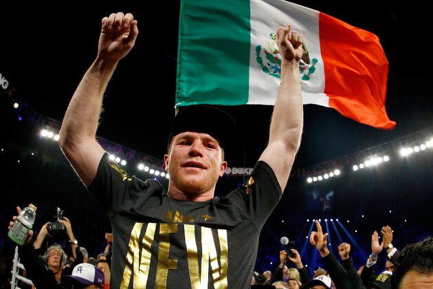LAS VEGAS, NV - NOVEMBER 21:  Canelo Alvarez celebrates after defeating Miguel Cotto by unanimous decision in their middleweight fight at the Mandalay Bay Events Center on November 21, 2015 in Las Vegas, Nevada.  (Photo by Al Bello/Getty Images)