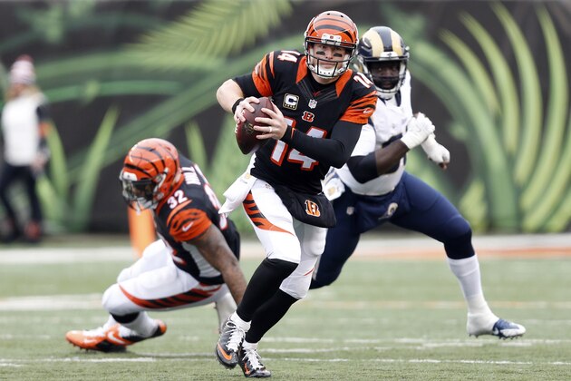 Cincinnati Bengals quarterback Andy Dalton (14) runs the ball in the second half of an NFL football game against the St. Louis Rams, Sunday, Nov. 29, 2015, in Cincinnati. (AP Photo/Frank Victores)