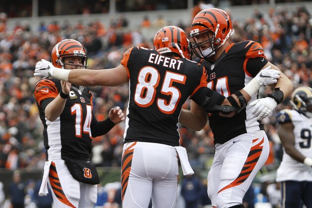 Cincinnati Bengals tight end Tyler Eifert (85) celebrates catching a touchdown pass with quarterback Andy Dalton (14) in the first half of an NFL football game against the St. Louis Rams, Sunday, Nov. 29, 2015, in Cincinnati. (AP Photo/Frank Victores)