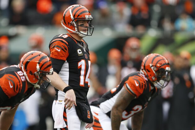 Cincinnati Bengals quarterback Andy Dalton (14) lines up at the line of scrimmage in the first half of an NFL football game against the St. Louis Rams, Sunday, Nov. 29, 2015, in Cincinnati. (AP Photo/Gary Landers)