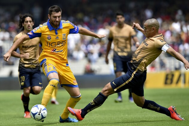 Pumas' defender Dario Veron (L) vies for the ball with Tigres' forward Andre-Pierre Gignac (L) during their Mexican Apertura tournament football match at the Olympic stadium on September 27, 2015 in Mexico City.  AFP PHOTO/ Yuri CORTEZ        (Photo credit should read YURI CORTEZ/AFP/Getty Images)