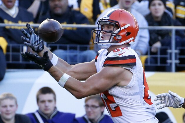 Cleveland Browns tight end Gary Barnidge (82) plays in an NFL football game, against the Pittsburgh Steelers, Sunday, Nov. 15, 2015, in Pittsburgh. (AP Photo/Gene J. Puskar)