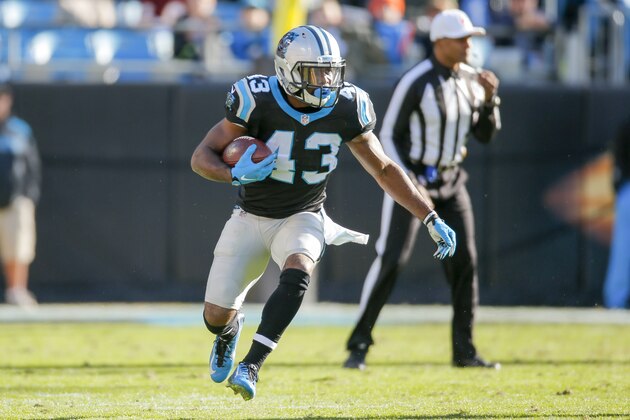 Carolina Panthers running back Fozzy Whittaker (43) runs the ball against the Washington Redskins during an NFL game at Bank of America Stadium in Charlotte, N.C. on Sunday, Nov. 22, 2015. (Chris Keane/AP Images for Panini)