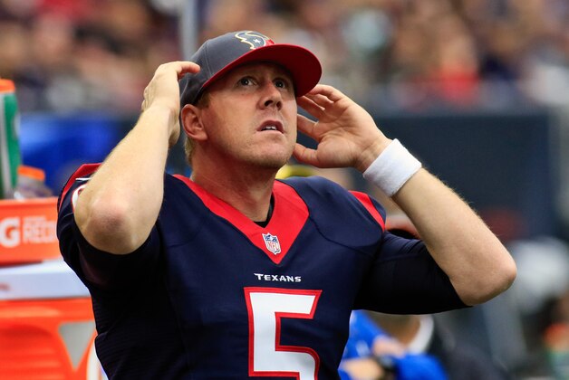 Nov 22, 2015; Houston, TX, USA; Houston Texans quarterback Brandon Weeden during game against the New York Jets at NRG Stadium. Houston won 24-17. Mandatory Credit: Ray Carlin-USA TODAY Sports