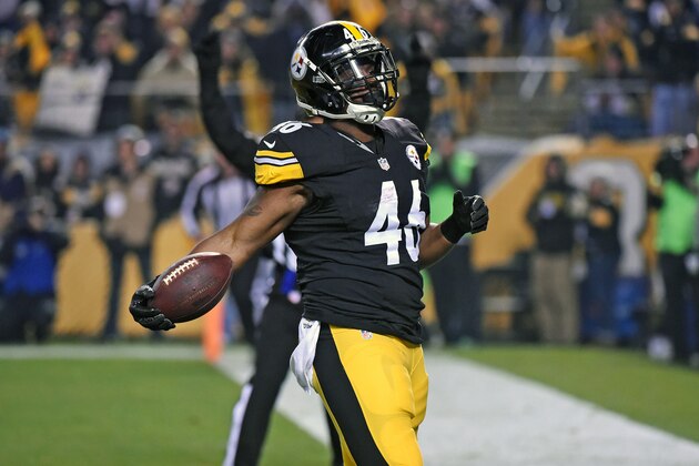 PITTSBURGH, PA - DECEMBER 6:  Fullback Will Johnson #46 of the Pittsburgh Steelers holds the football after catching a pass and scoring on a two-point conversion attempt during a game against the Indianapolis Colts at Heinz Field on December 6, 2015 in Pittsburgh, Pennsylvania.  The Steelers defeated the Colts 45-10. (Photo by George Gojkovich/Getty Images)