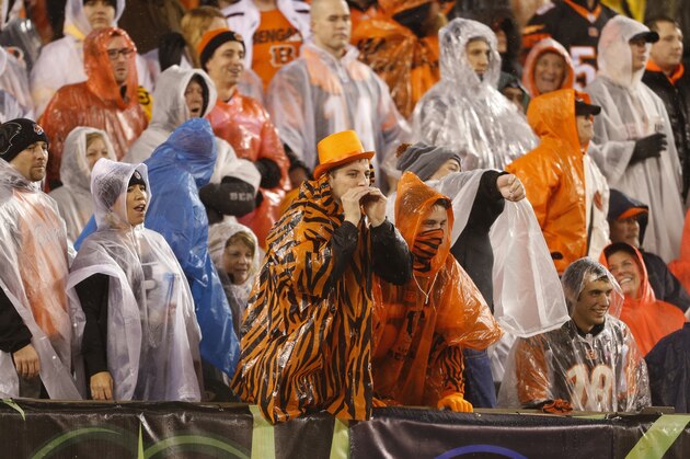 Cincinnati Bengals fans yell during the second half of an NFL wild-card playoff football game against the Pittsburgh Steelers Saturday, Jan. 9, 2016, in Cincinnati. (AP Photo/Gary Landers)