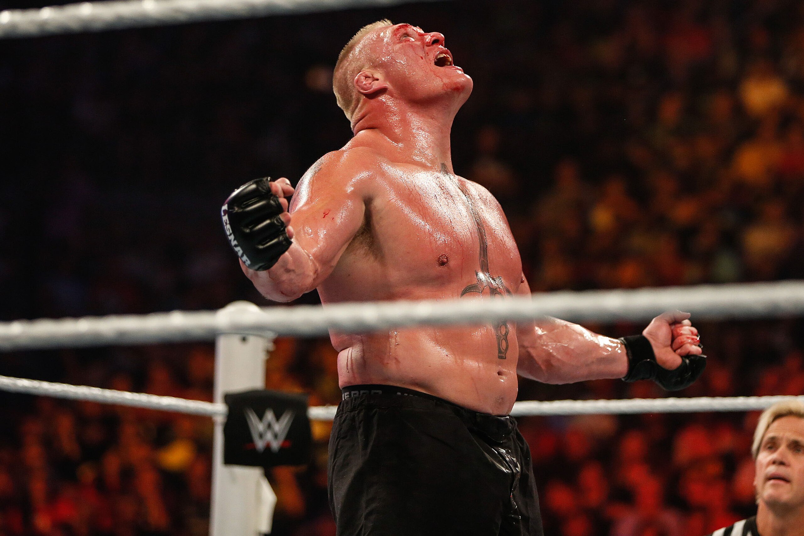NEW YORK, NY - AUGUST 23:  Brock Lesnar in action during his fight against The Undertaker at the WWE SummerSlam 2015 at Barclays Center of Brooklyn on August 23, 2015 in New York City.  (Photo by JP Yim/Getty Images)