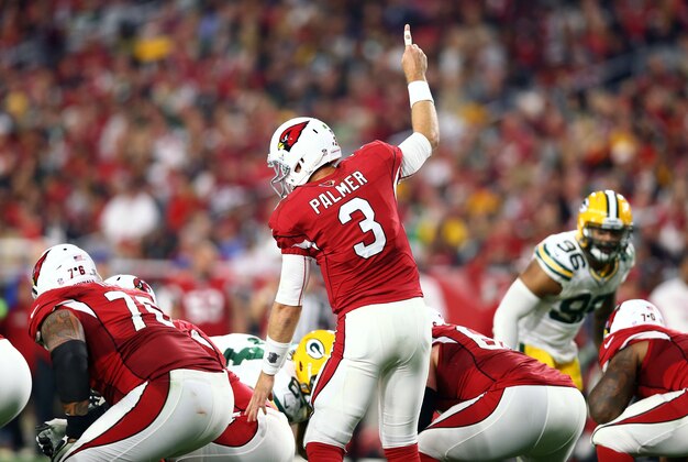 Dec 27, 2015; Glendale, AZ, USA; Arizona Cardinals quarterback Carson Palmer (3) reacts against the Green Bay Packers at University of Phoenix Stadium. Mandatory Credit: Mark J. Rebilas-USA TODAY Sports