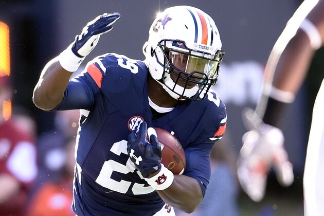 Nov 28, 2015; Auburn, AL, USA; Auburn Tigers running back Jovon Robinson (29) carries the ball past against the Alabama Crimson Tide at Jordan Hare Stadium. Mandatory Credit: RVR Photos-USA TODAY Sports