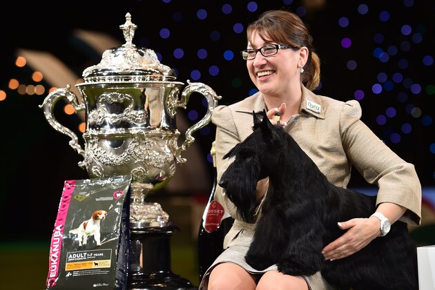 Rebecca Cross with the Scottish Terrier, 'Knopa' (McVan's to Russia With Love), bred in US, with Russian ownership, from the Terrier Group, and winner of the Best in Show category, celebrate with their trophy at the Crufts Dog Show in Birmingham, in central England on March 8, 2015. Crufts is one of the largest dog events in the the world, with thousands of dogs competing for the coveted title of 'Best in Show'. Founded in 1891 by the late Charles Cruft, today the four-day show attracts entrants from around the world. Growing competition from foreign-owned dogs has sparked concern that not everyone may be playing fair at Crufts, a British institution since Victorian times now billed as the world's biggest canine show. Owners of a prize-winning Irish Setter who died after competing at the renowned Crufts dog show claimed on Sunday their dog had been poisoned at the English event. AFP PHOTO / BEN STANSALL        (Photo credit should read BEN STANSALL/AFP/Getty Images)