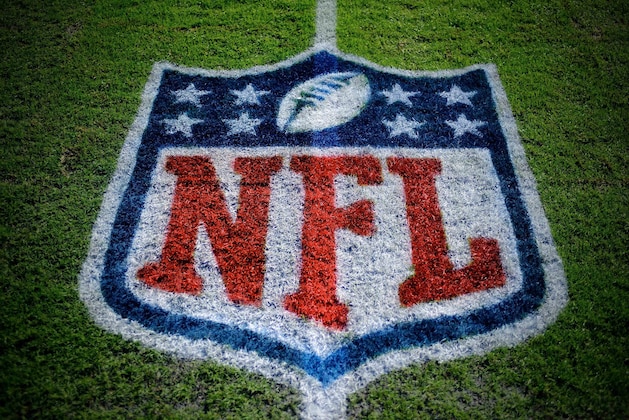 Oct 26, 2014; Tampa, FL, USA; The NFL logo is painted on the field at Raymond James Stadium. Mandatory Credit: David Manning-USA TODAY Sports