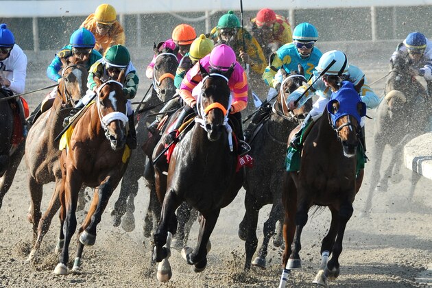 Pants on Fire, front center, with Rosie Napravnik aboard, turns for home at the top of stretch and goes on to win the Louisiana Derby horse race at Fair Grounds Race Course in New Orleans,  Saturday, March 26, 2011. (AP Photo/Alexander Barkoff)