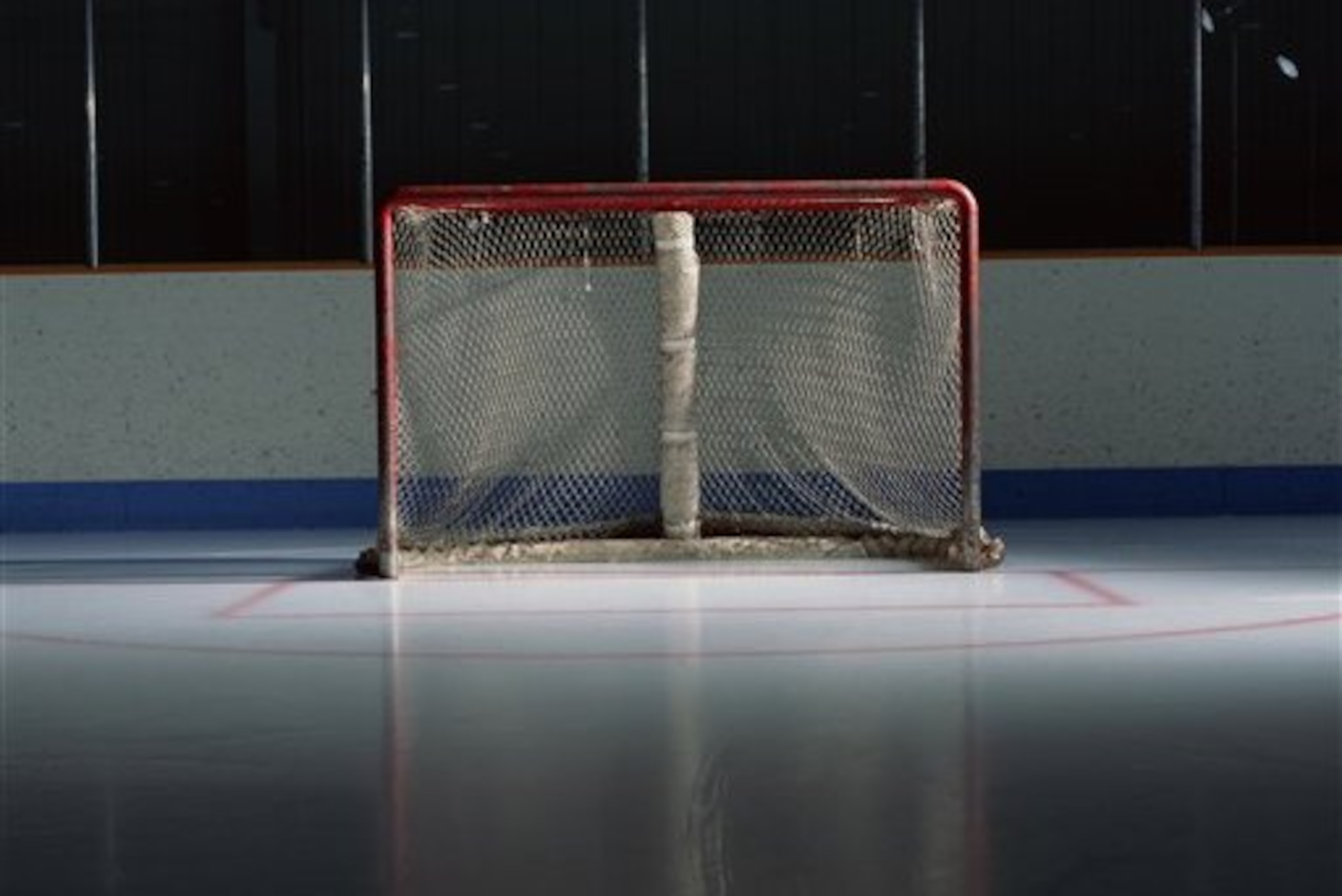 Fl6406, Ron Elmy; Hockey Net. (Design Pics via AP)