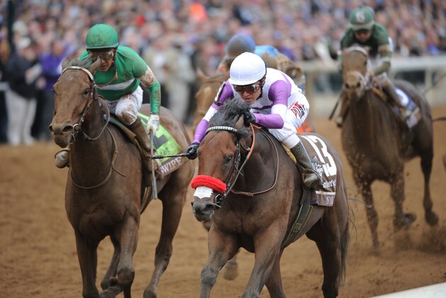 LEXINGTON, KY- OCTOBER 31: Mario Gutierrez rides Nyquist to win the Breeders Cup Juvenile at Keeneland Race Track on October 31,2015 in Lexington, Kentucky (Photo by Horsephotos/Getty Images)