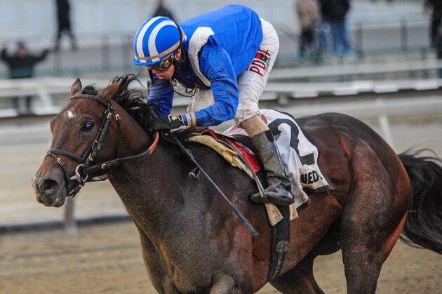 OZONE PARK, NY - MARCH 5: Shagaf #2, ridden by Irad Ortiz, Jr. wins the Gotham Stakes at Aqueduct Racetrack on March 5, 2016 in Ozone Park, NY. (Photo by Sophie Shore/Eclipse Sportswire/Getty Images)