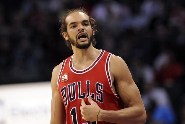 Nov 3, 2015; Charlotte, NC, USA; Chicago Bulls forward center Joakim Noah (13) complains about a foul call against him during the second half of the game against the Charlotte Hornets at Time Warner Cable Arena. Hornets win 130-105. Mandatory Credit: Sam Sharpe-USA TODAY Sports
