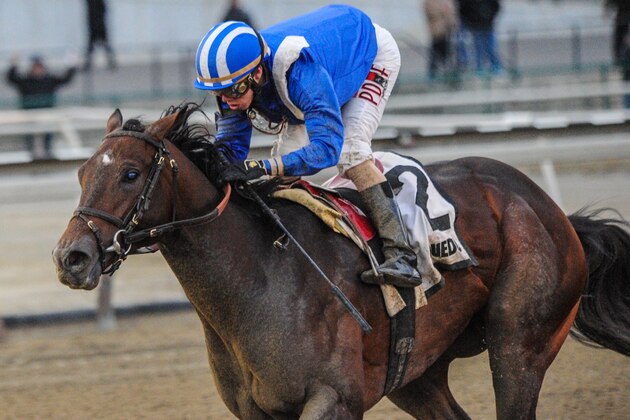 OZONE PARK, NY - MARCH 5: Shagaf #2, ridden by Irad Ortiz, Jr. wins the Gotham Stakes at Aqueduct Racetrack on March 5, 2016 in Ozone Park, NY. (Photo by Sophie Shore/Eclipse Sportswire/Getty Images)