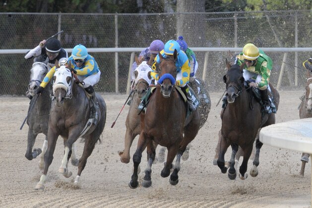 American Pharoah and jockey Victor Espinoza, lead Bridget's Big Luvy and jockey Angel Cruz, right, Mr. Z and jockey Ramon Vazquez (2) and the rest of the field around the final turn in $1 million Arkansas Derby horse race at Oaklawn Park in Hot Springs, Ark., Saturday, April 11, 2015. (AP Photo/David Quinn)
