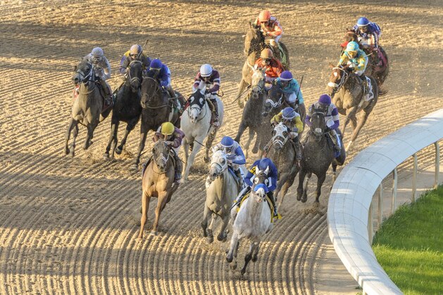 Cupid and jockey Martin Garcia, front center, leads the rest of the field onto the stretch of the Rebel Stakes horse race at Oaklawn Park in Hot Springs, Ark., Saturday, March 19, 2016. Cupid was the eventual winner of the race. (AP Photo/David Quinn)