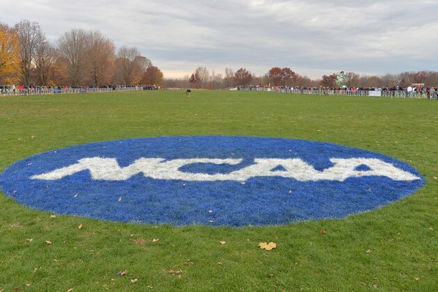 Nov 21, 2015; Louisville, KY, USA; General view of the NCAA logo during the 2015 NCAA cross country championships at Tom Sawyer Park. Mandatory Credit: Kirby Lee-USA TODAY Sports