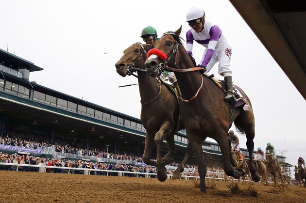 FILE - In this Oct. 31, 2015, file photo, Nyquist, front right, with Mario Gutierrez up, finishes ahead of Swipe, left, with Victor Espinoza up, to win the Breeders' Cup Juvenile horse race at Keeneland race track in Lexington, Ky. Nyquist is gearing up for his 3-year-old debut in the seven-furlong San Vicente at Santa Anita on Saturday, Feb. 13, 2016. (AP Photo/Brynn Anderson, File)