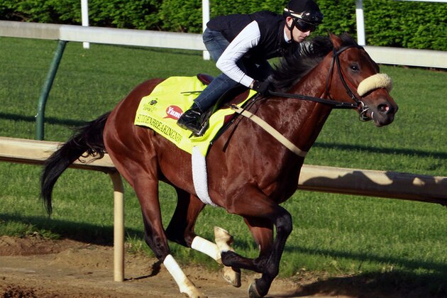 Jockey Chris Landeros works out Kentucky Derby hopeful Suddenbreakingnews at Churchill Downs in Louisville, Ky., Friday, April 29, 2016.  (AP Photo/Garry Jones)