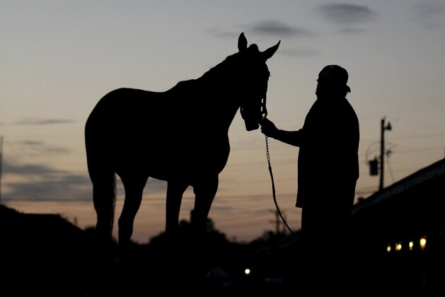 Kentucky Derby hopeful Mo Tom is led to his stall after a workout at Churchill Downs Monday, May 2, 2016, in Louisville, Ky. The 142nd running of the Kentucky Derby is scheduled for Saturday, May 7. (AP Photo/Charlie Riedel)