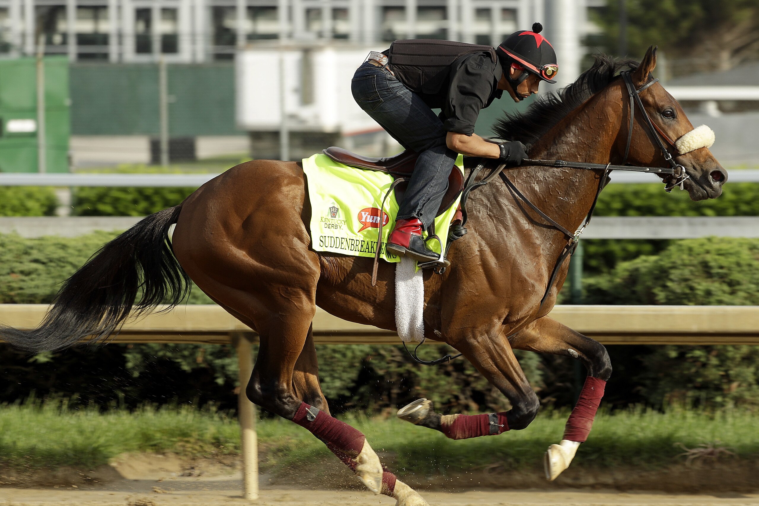 Exercise rider Ramiro Gorostieta rides Kentucky Derby hopeful Suddenbreakingnews during a workout at Churchill Downs Monday, May 2, 2016, in Louisville, Ky. The 142nd running of the Kentucky Derby is scheduled for Saturday, May 7. (AP Photo/Charlie Riedel)