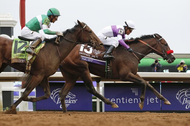 FILE - In this Oct. 31, 2015, file photo, Nyquist (13), with Mario Gutierrez up, wins the Breeders' Cup Juvenile horse race at Keeneland in Lexington, Ky. Unlike Pharoah-phever a year ago, Nyquist-mania hasn’t yet struck in the days leading to the Kentucky Derby. It might by next Saturday night if the undefeated colt ends up in the winner’s circle at Churchill Downs. (AP Photo/Brynn Anderson, File)