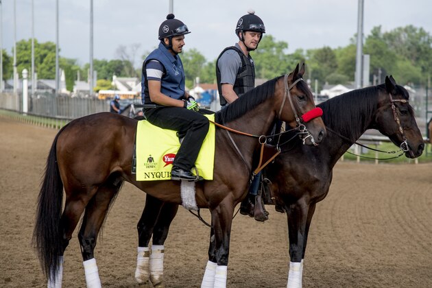 LOUISVILLE, KY - MAY 02: Nyquist, trained by Doug O'Neill and owned by Reddam Racing LLC, walked two miles during morning workouts for the Kentucky Derby and Kentucky Oaks at Churchill Downs on May 2, 2016 in Louisville, Kentucky. (Photo by Scott Serio/Eclipse Sportswire/Getty Images)