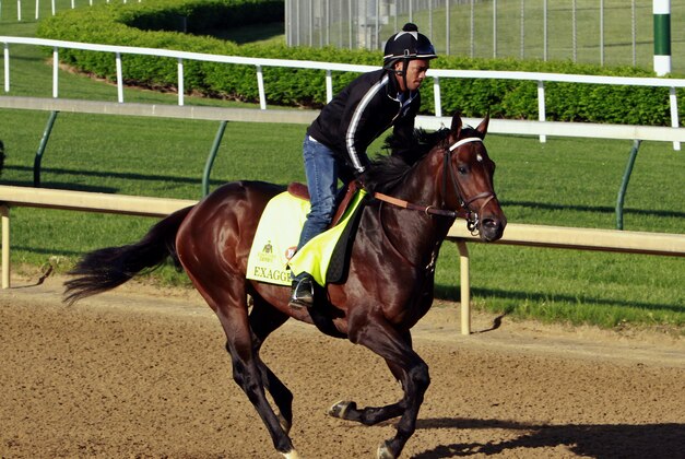 Kentucky Derby hopeful Exaggerator gallops with exercise rider Peedy Landry in the saddle at Churchill Downs in Louisville, Ky., Friday, April 29, 2016.  (AP Photo/Garry Jones)