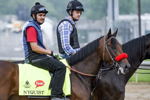 LOUISVILLE, KY - MAY 01: Nyquist, trained by Doug O'Neill and owned by Reddam Racing LLC, exercises and prepares during morning workouts for the Kentucky Derby and Kentucky Oaks at Churchill Downs on May 1, 2016 in Louisville, Kentucky. (Photo by John Voorhees/Eclipse Sportswire/Getty Images)