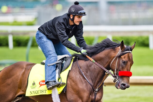 LOUISVILLE, KY - MAY 03: Nyquist, ridden by exercise rider Jonny Garcia, trained by Doug O'Neill and owned by Reddam Racing LLC, exercises and prepares during morning workouts for the Kentucky Derby and Kentucky Oaks at Churchill Downs on May 3, 2016 in Louisville, Kentucky. (Photo by Scott Serio/Eclipse Sportswire/Getty Images)