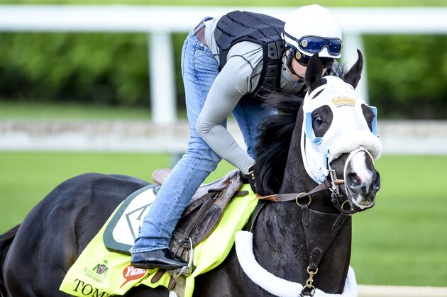 LOUISVILLE, KY - MAY 04: Tom's Ready, trained by Dallas Stewart and owned by G M B Racing, exercises and prepares during morning workouts for the Kentucky Derby and Kentucky Oaks at Churchill Downs on May 4, 2016 in Louisville, Kentucky. (Photo by John Voorhees/Eclipse Sportswire/Getty Images)