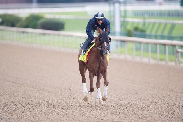 LOUISVILLE, KY - MAY 4: Kentucky Derby contender Fellowship gallops at Churchill Downs Race Track on May 04, 2016 in Louisville, Kentucky.  (Photo by Horsephotos/Getty Images)