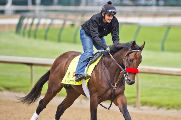 LOUISVILLE, KY - MAY 03: Nyquist, ridden by exercise rider Jonny Garcia, trained by Doug O'Neill and owned by Reddam Racing LLC, exercises and prepares during morning workouts for the Kentucky Derby and Kentucky Oaks at Churchill Downs on May 3, 2016 in Louisville, Kentucky. (Photo by Scott Serio/Eclipse Sportswire/Getty Images)