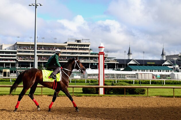 LOUISVILLE, KY - MAY 05:  Majesto trains on the track for the Kentucky Derby at Churchill Downs on May 05, 2016 in Louisville, Kentucky.  (Photo by Maddie Meyer/Getty Images)