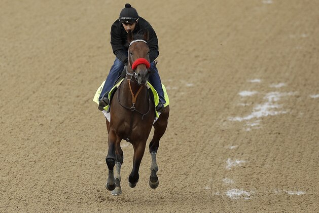 Exercise rider Jonny Garcia rides Kentucky Derby hopeful Nyquist during a workout at Churchill Downs Thursday, May 5, 2016, in Louisville, Ky. The 142nd running of the Kentucky Derby is scheduled for Saturday, May 7. (AP Photo/Charlie Riedel)