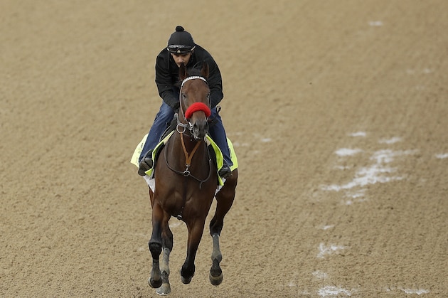 Exercise rider Jonny Garcia rides Kentucky Derby hopeful Nyquist during a workout at Churchill Downs Thursday, May 5, 2016, in Louisville, Ky. The 142nd running of the Kentucky Derby is scheduled for Saturday, May 7. (AP Photo/Charlie Riedel) Exercise rider Jonny Garcia rides Kentucky Derby hopeful Nyquist during a workout at Churchill Downs Thursday, May 5, 2016, in Louisville, Ky. The 142nd running of the Kentucky Derby is scheduled for Saturday, May 7. (AP Photo/Charlie Riedel)