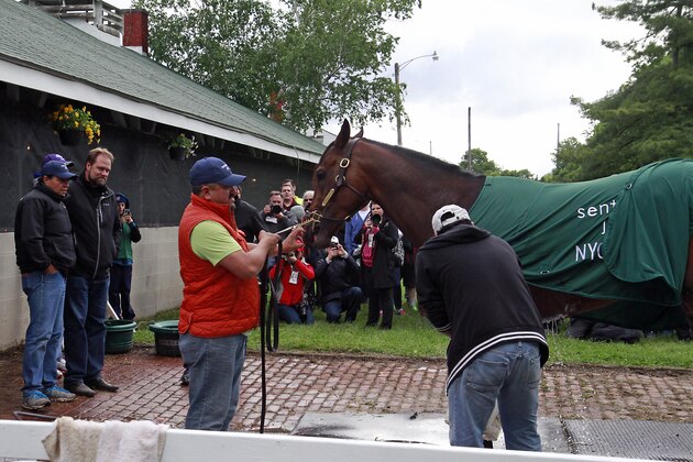 Kentucky Derby favorite Nyquist gets a blanket after his morning bath outside Barn 41 at Churchill Downs in Louisville, Ky., Thursday, May 5,   2016. The 142nd Kentucky Derby is Saturday, May 7. (AP Photo/Garry Jones)